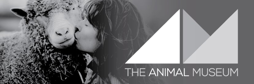 TheAnimalMuseum's profile banner image