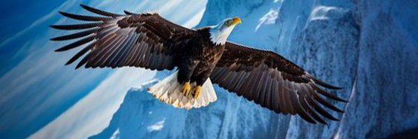 mikeange2022 Profile Banner