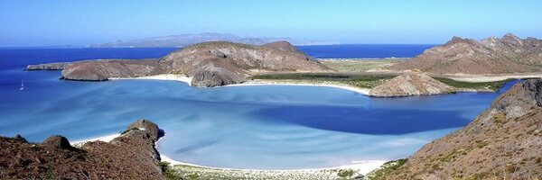 playasBaja Profile Banner