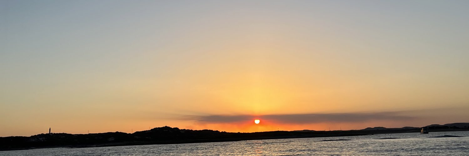 GRAYLAN SPRING banner