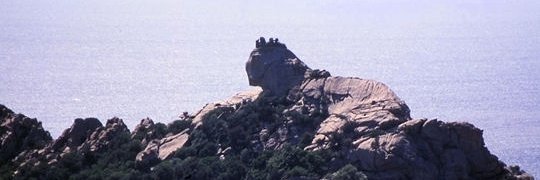 gremlinscooter's profile banner image