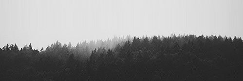J. banner