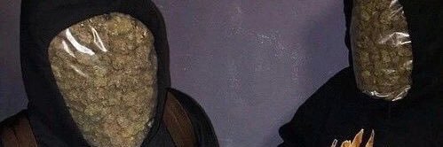 bica banner