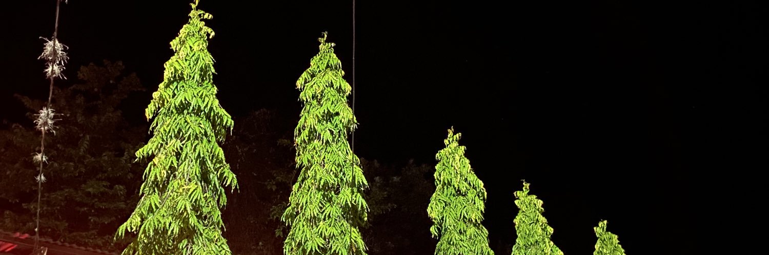 Crisferer20's profile banner image