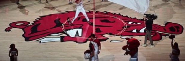 TXP247🐗🏴‍☠️ banner
