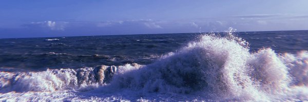 gee___whizz Profile Banner