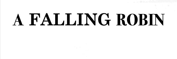 A Falling Robin banner
