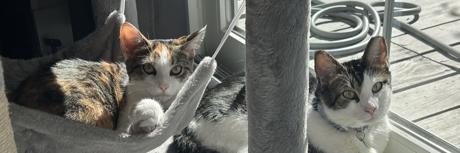 Flohio🌰 banner