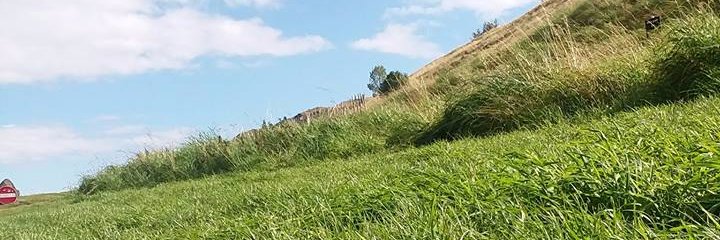 atlquinn's profile banner image