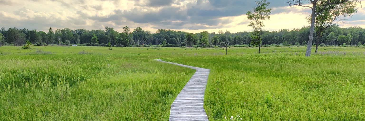 Awkward Phenom banner