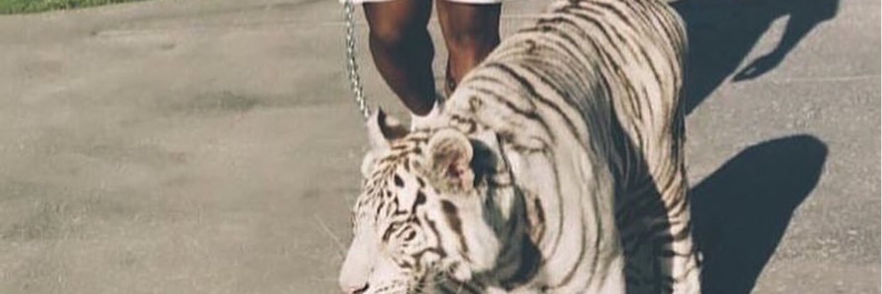 Joemane17's profile banner image