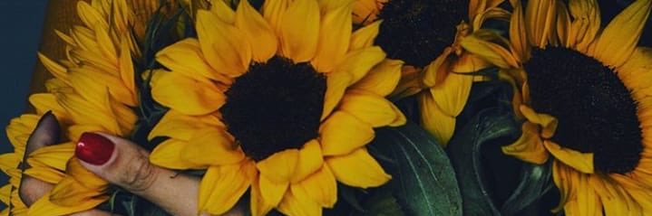 Apenas uma moça Latino-Americana banner