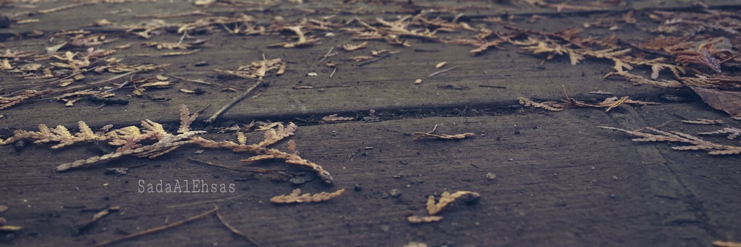 SadaAlEhsas3's profile banner image