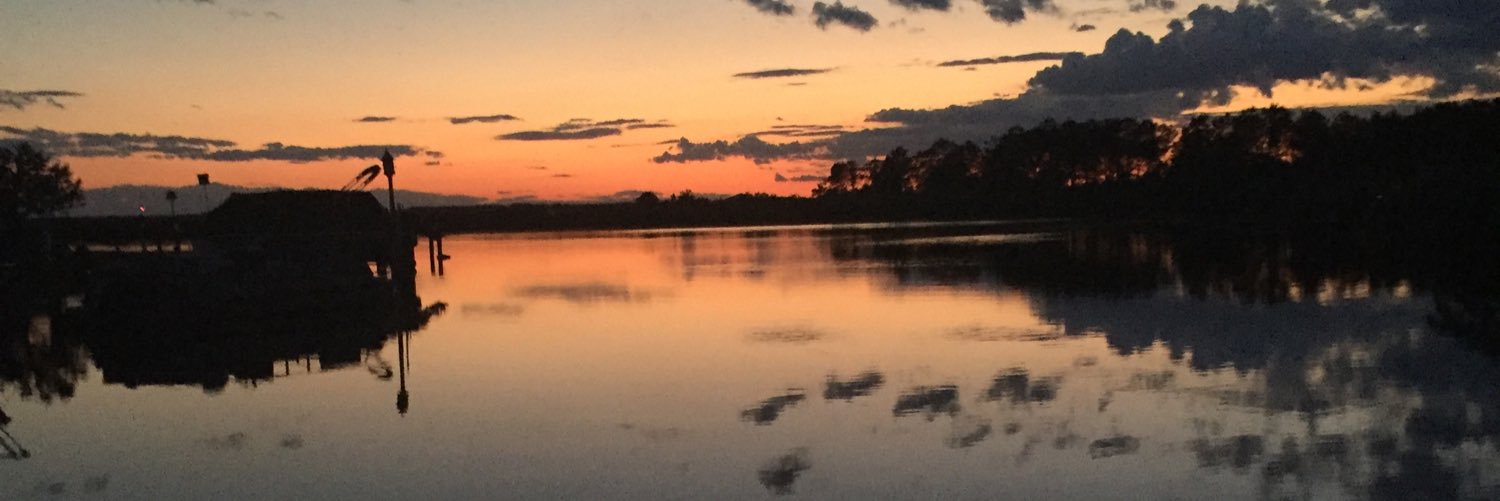 DelargeyCara's profile banner image