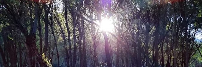 ganaa005's profile banner image