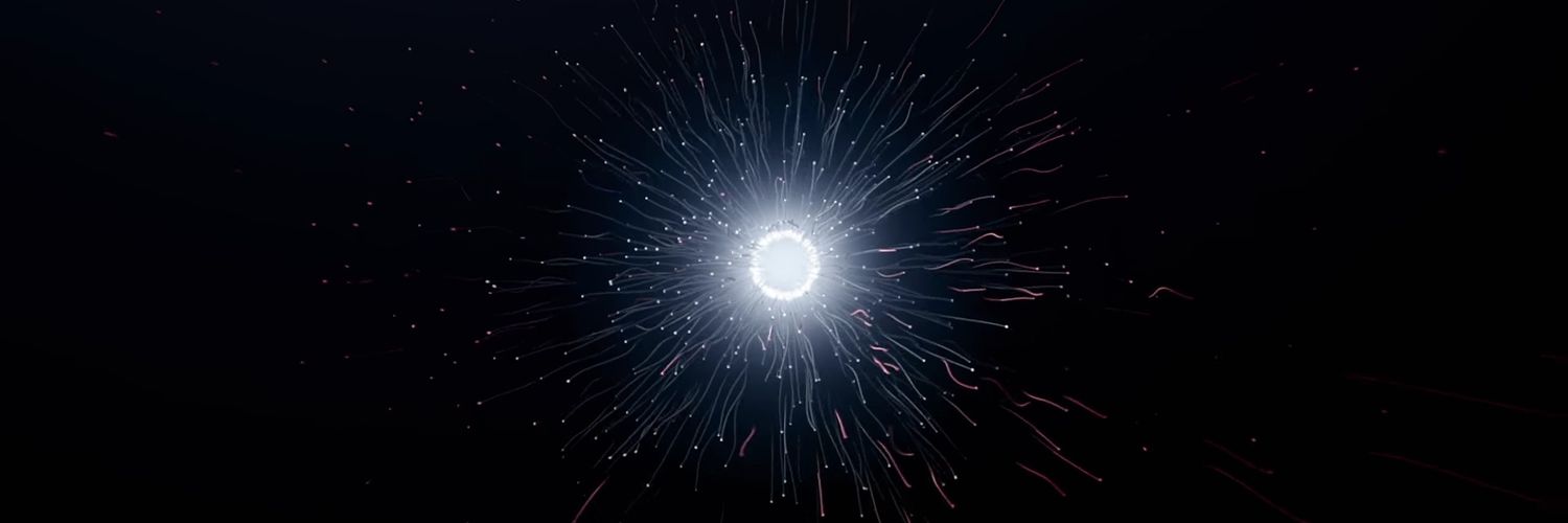 flwrsso's profile banner image