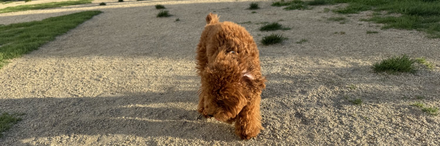 ときたそまる banner