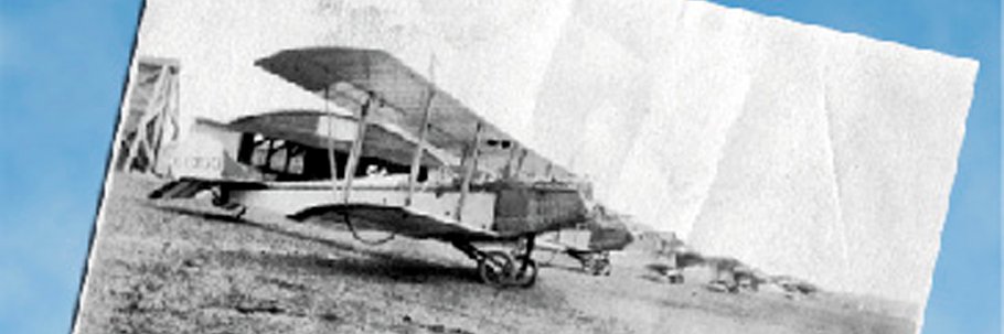 🇺🇦 ♔ Sybertooth Inc ♔ 🇺🇦 banner