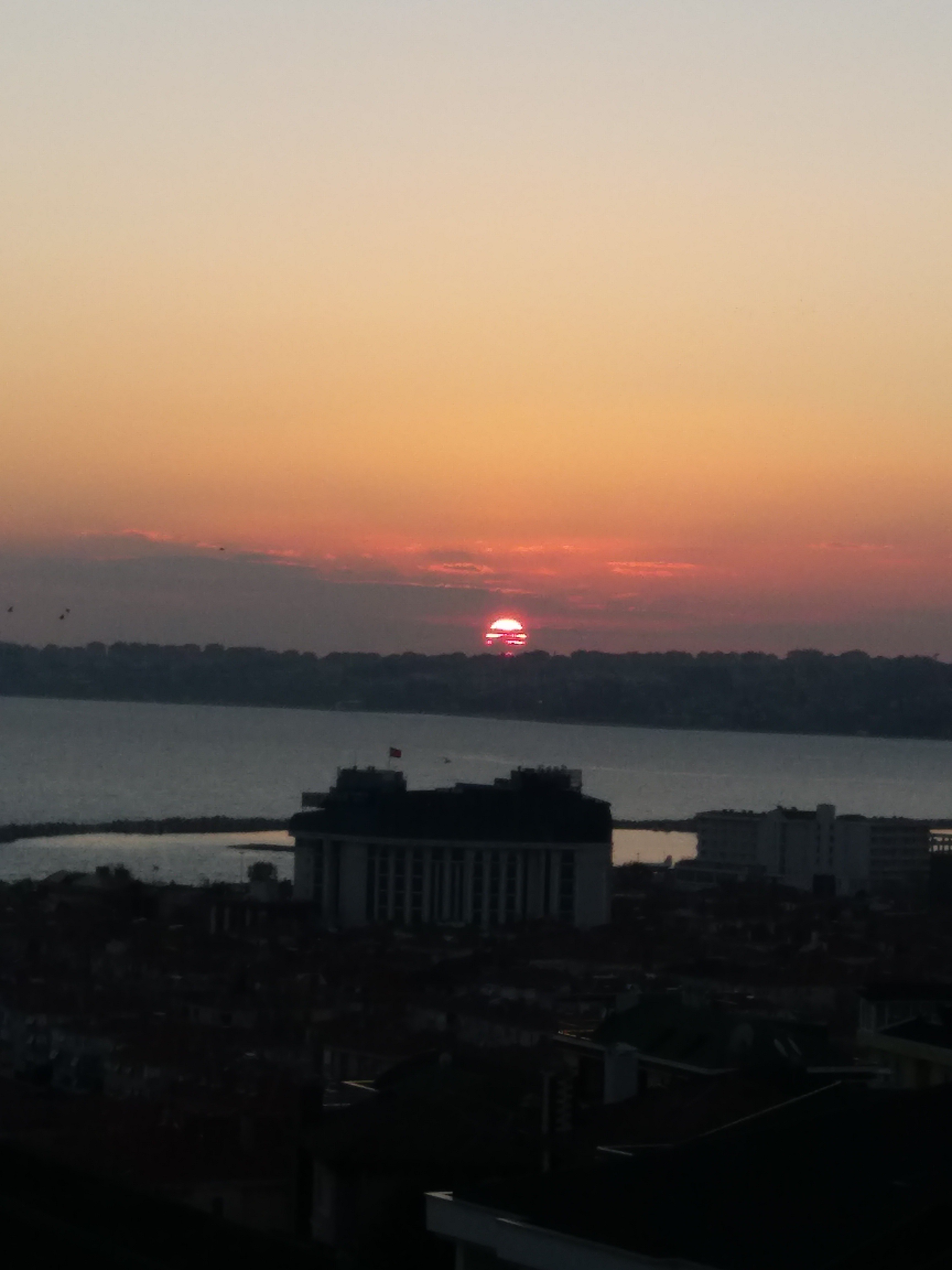 tserenoglu79's profile banner image