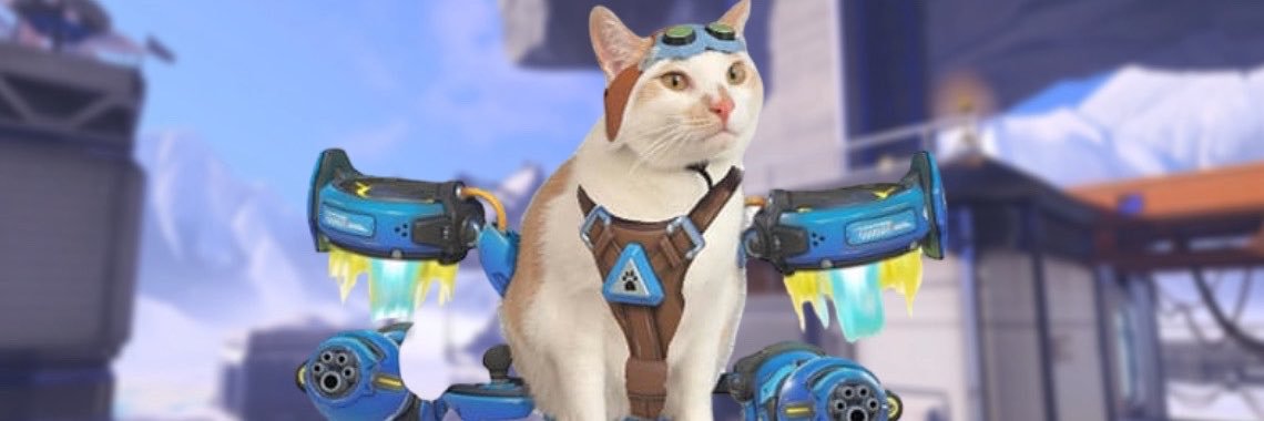 bandaidbabi's profile banner image