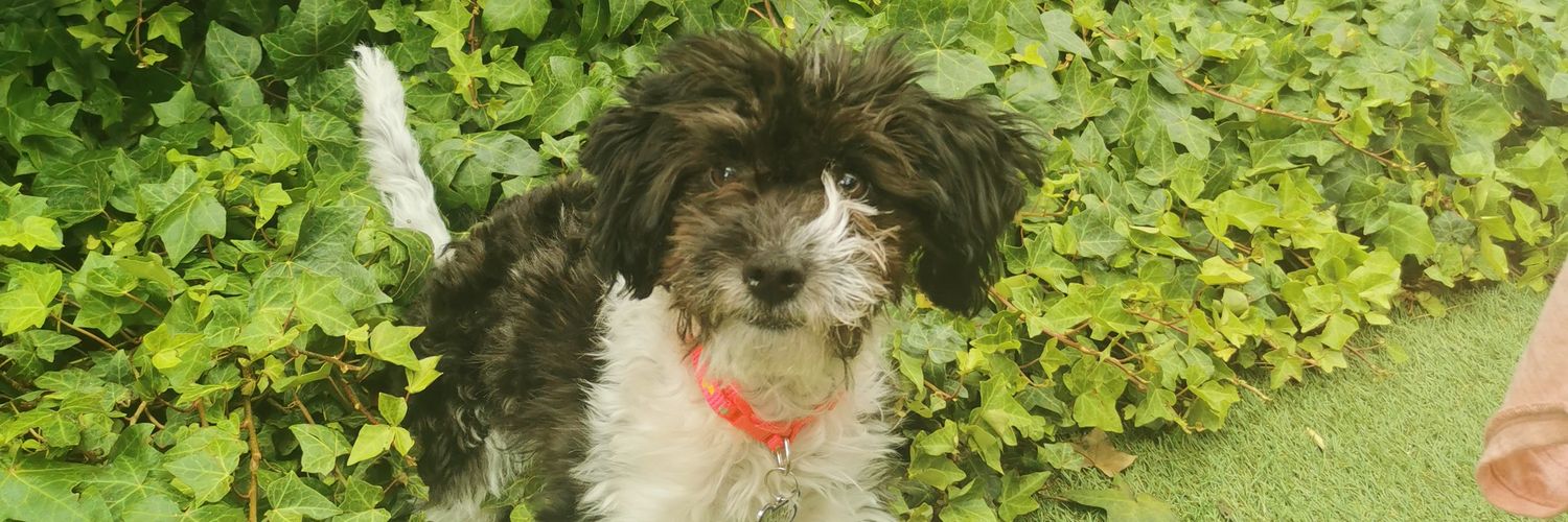 Alan Ignacioツ✪ banner