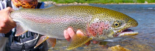 js_dev Profile Banner