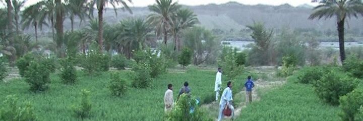 مجید بامری(بلوچم)'s banner