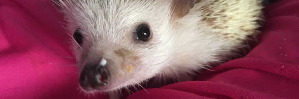mit_kat's profile banner image