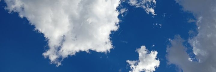 Florguut's profile banner image