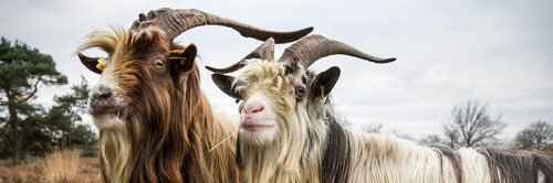 LFNLZuid's profile banner image