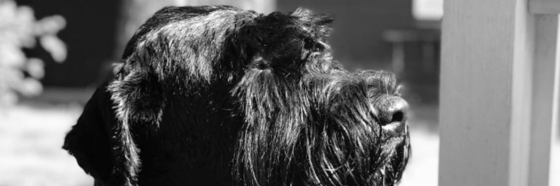 nielsestrup's profile banner image