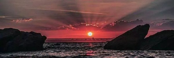 AngelaHD4709 Profile Banner