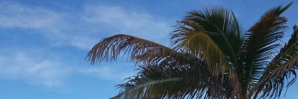 steefy29's profile banner image
