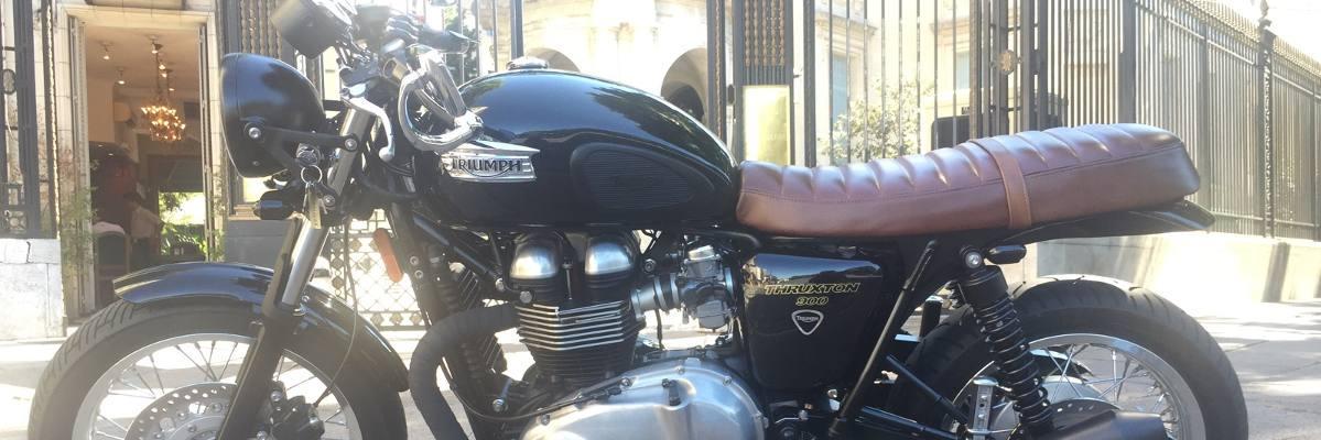 rocanlover19's profile banner image