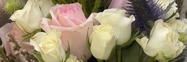 _ef0's profile banner image