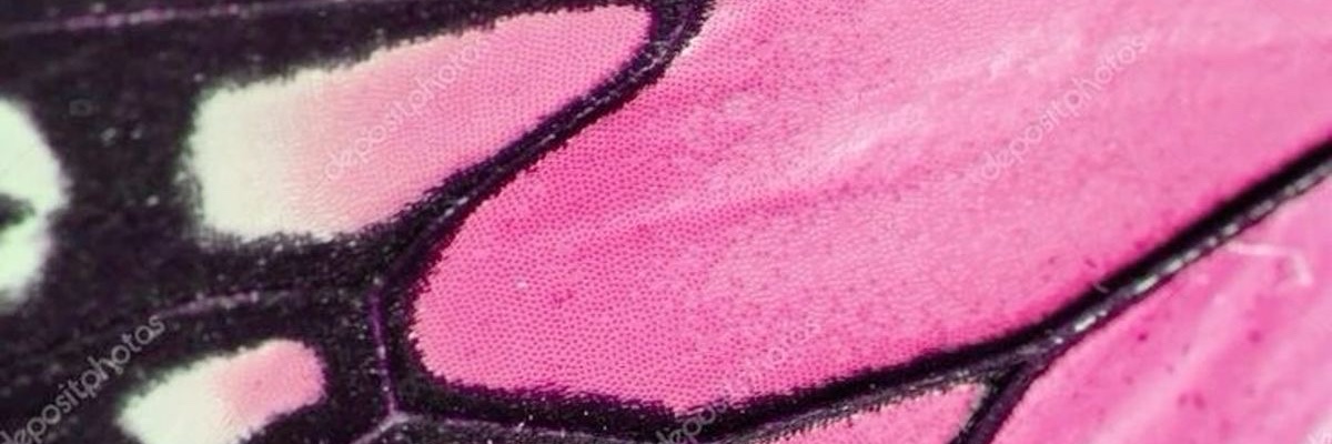 victoria banner