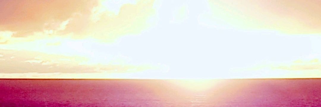LeeBird1234's profile banner image