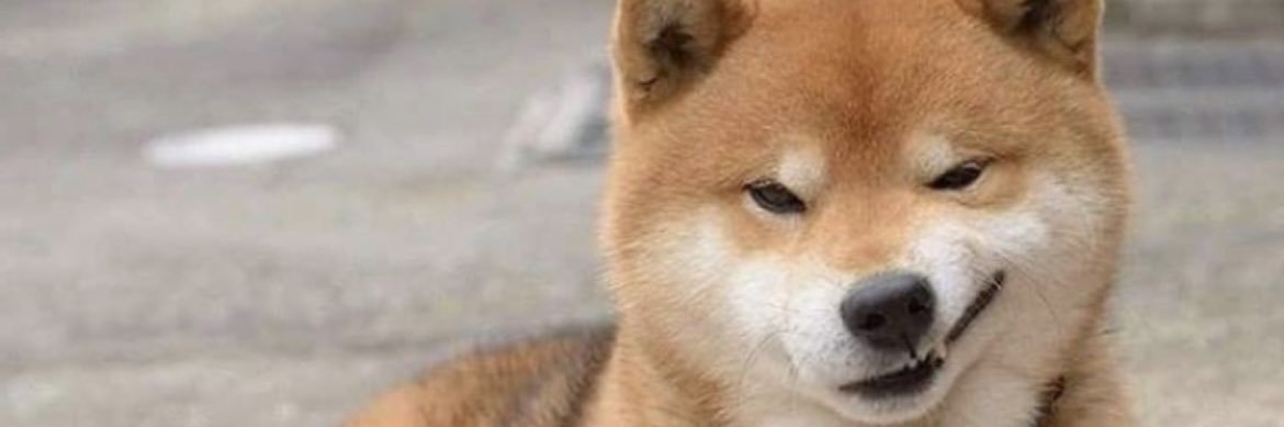 Unun ครูอันที่สอนเปียโน🎹&ภาษาญี่ปุ่น🇯🇵งับ•96451 banner