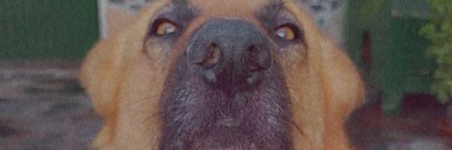 Anabingbang's profile banner image