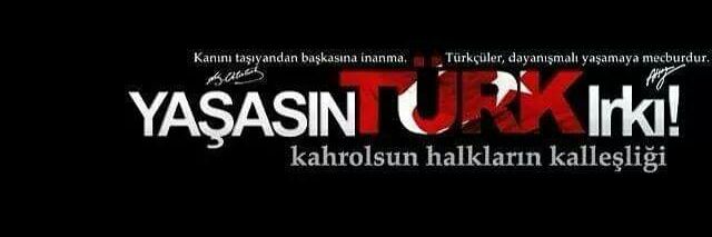 TansuATSIZ's profile banner image
