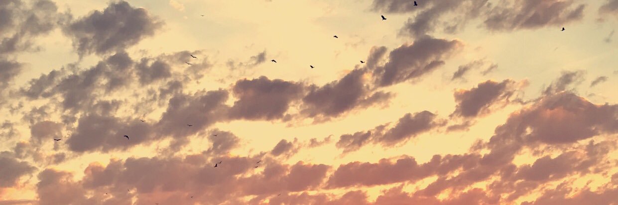 SHI4NN's profile banner image