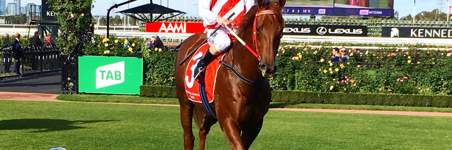 Lachlan Chapman banner