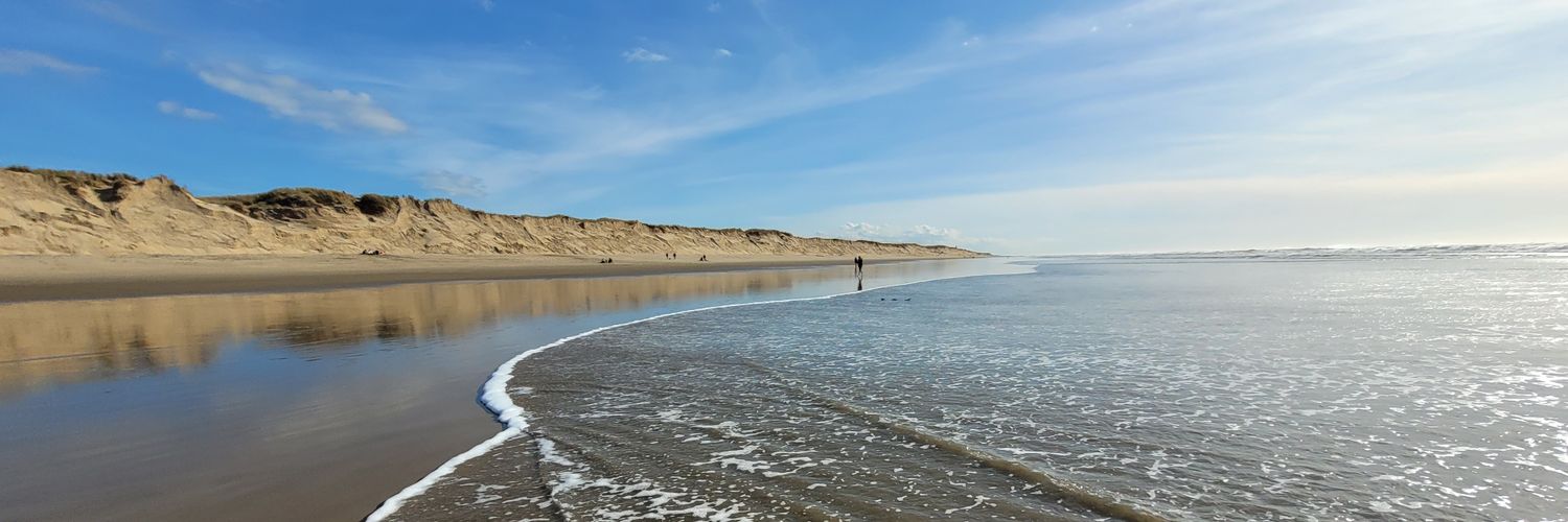 David Koss 🤠 banner