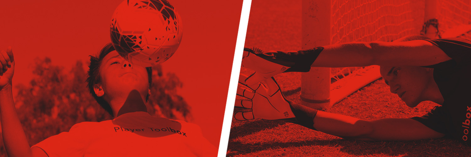 PlayerToolbox banner