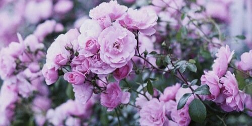 RuthWalraven_'s profile banner image