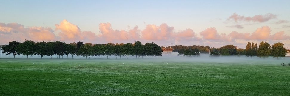 Jane Ferguson banner