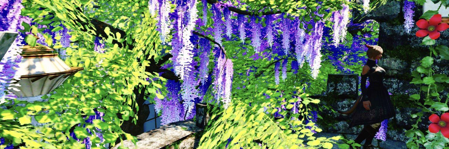 AO_NEI09's profile banner image