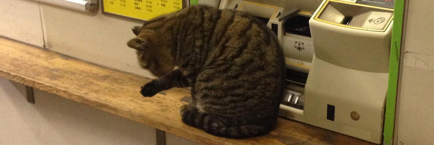 Kinちゃん@OTKGGのK担当 banner