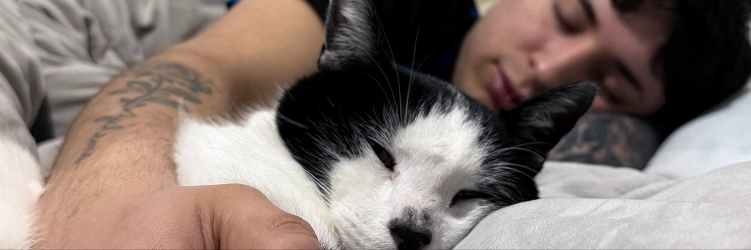 lu_morales2's profile banner image