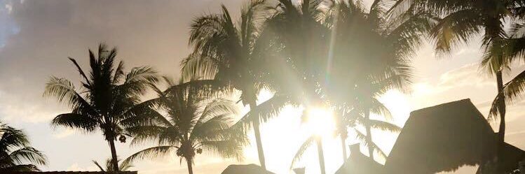 mclellan_43's profile banner image